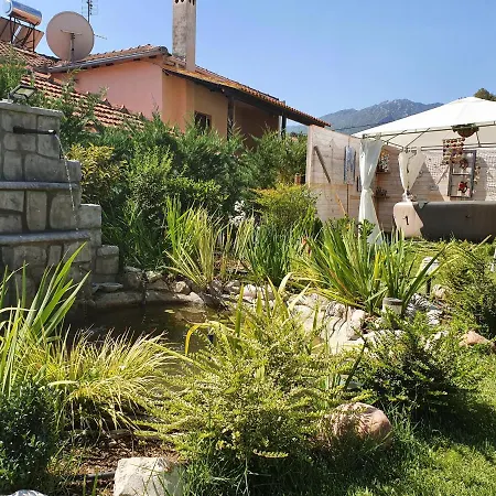 Ξενοδοχείο Theatro Odysseon 4*